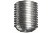 Grub Screw